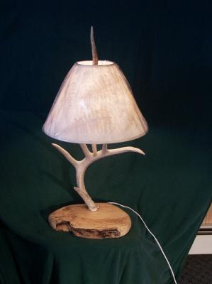 This table lamp is made from a deer antler the base is made from spaulted maple. NO shade available.