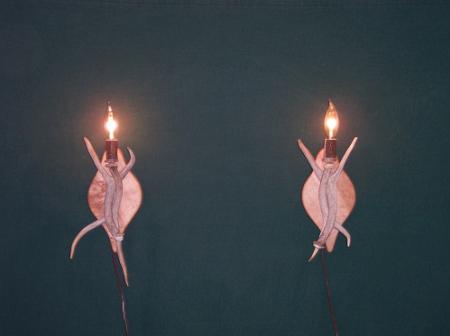 This pair of wall scones are deer antlers on maple. They can be plugged in or wired into the wall.